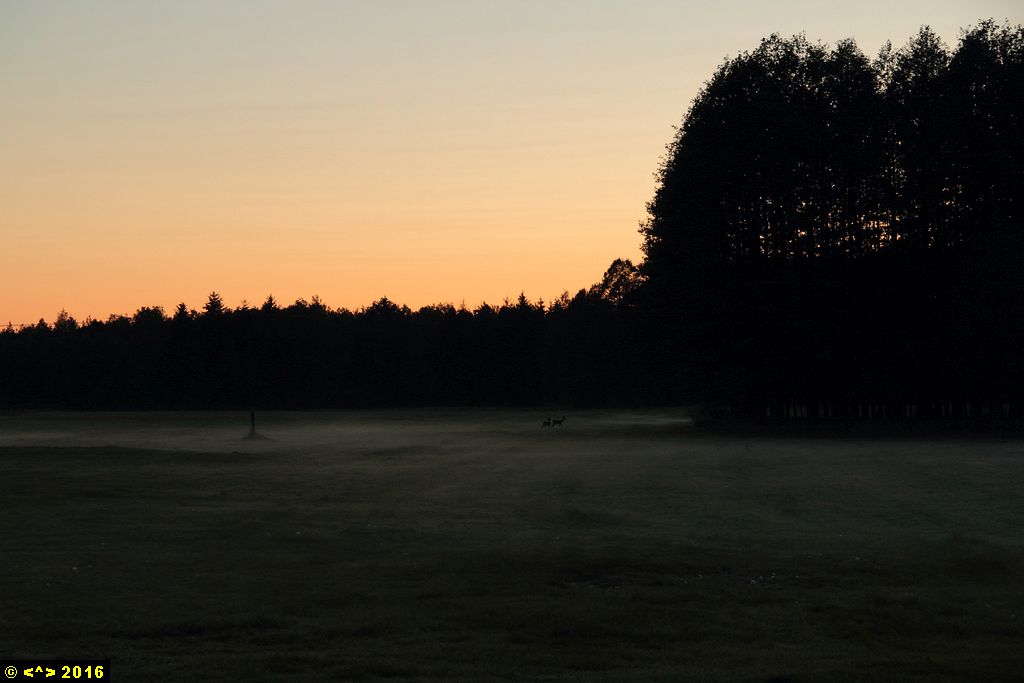 Foto nr: 766