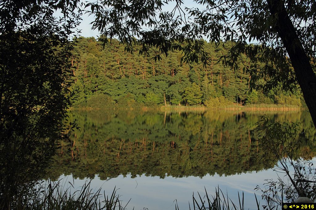 Foto nr: 783