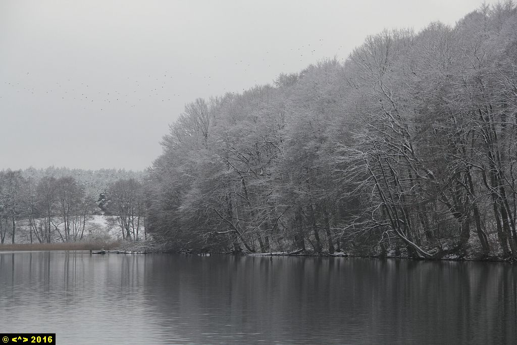 Foto nr: 803