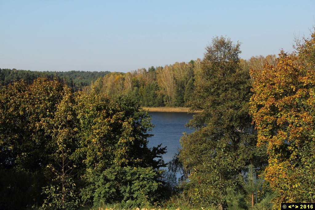 Foto nr: 808