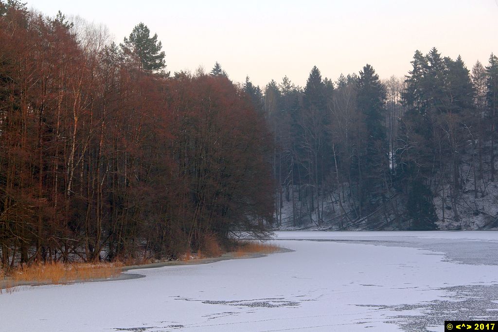 Foto nr: 811