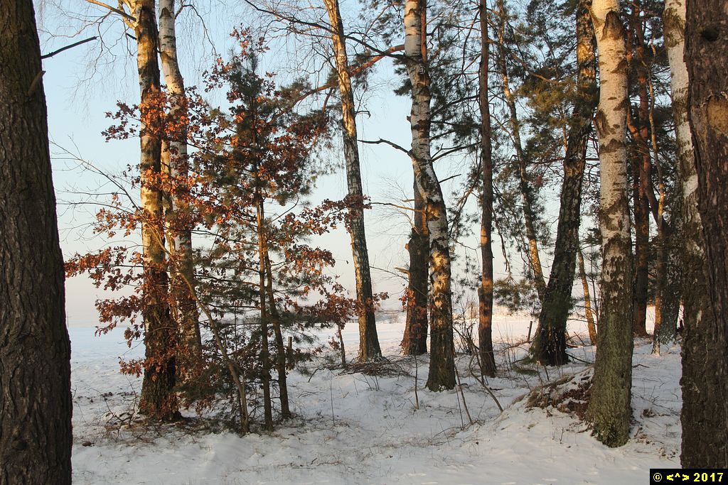 Foto nr: 815