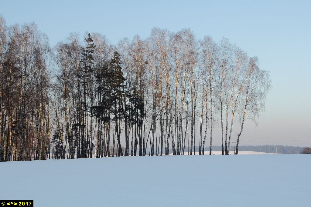 Foto nr: 816