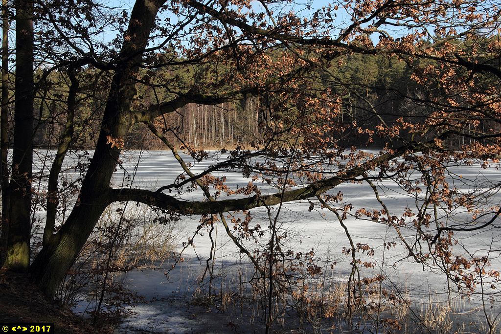 Foto nr: 822