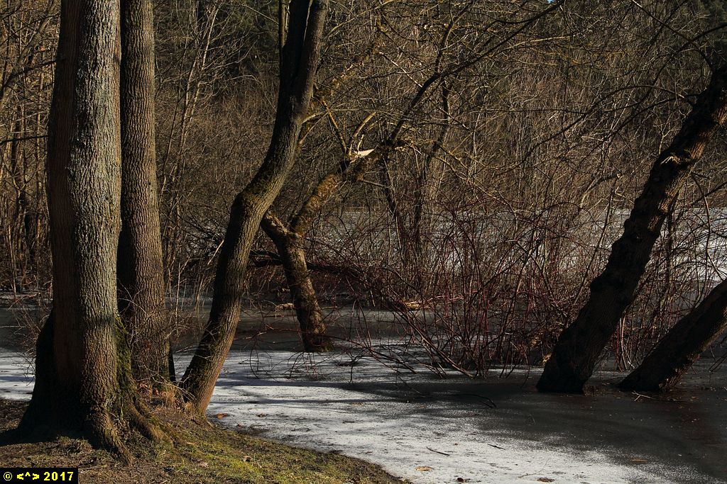 Foto nr: 825