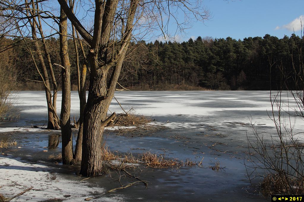 Foto nr: 826