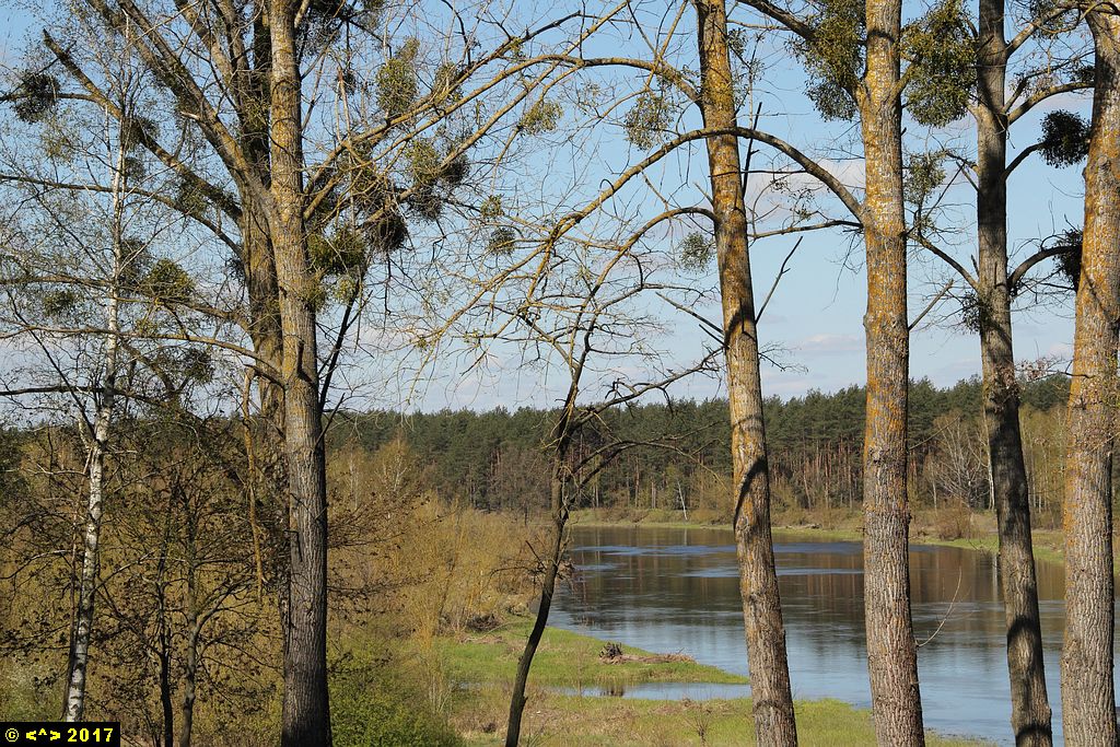Foto nr: 859
