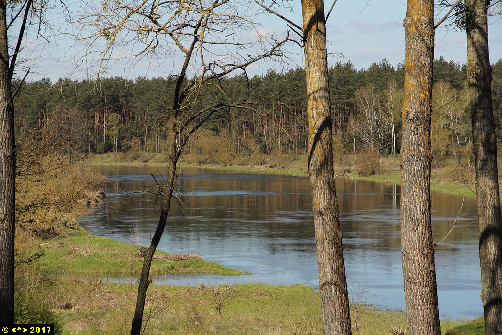Foto nr: 869