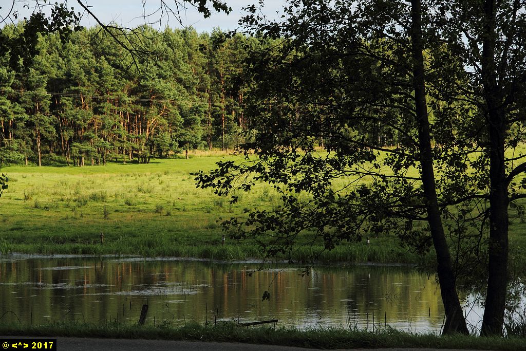 Foto nr: 876