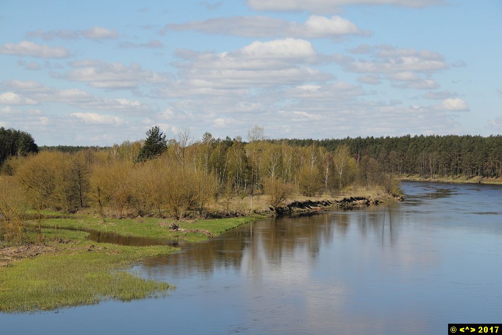 Foto nr: 881