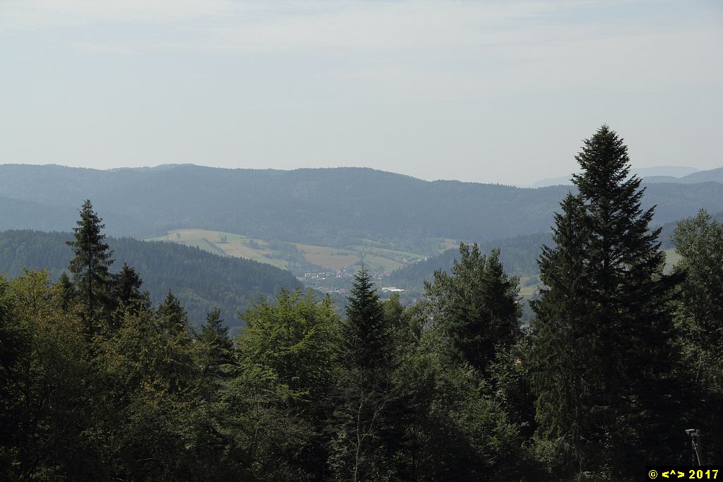 Foto nr: 896