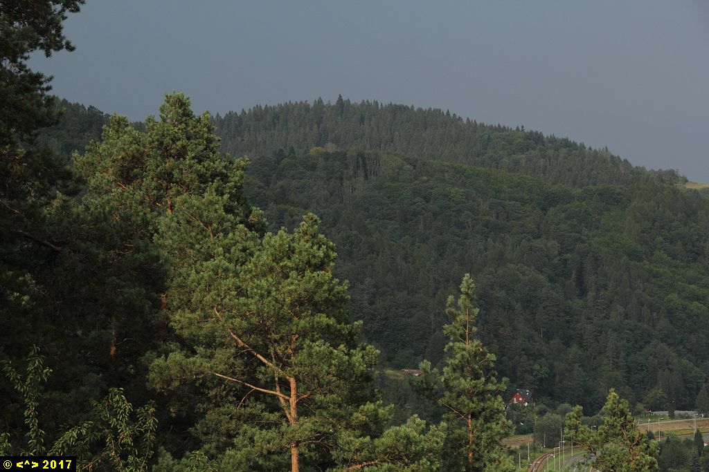 Foto nr: 897