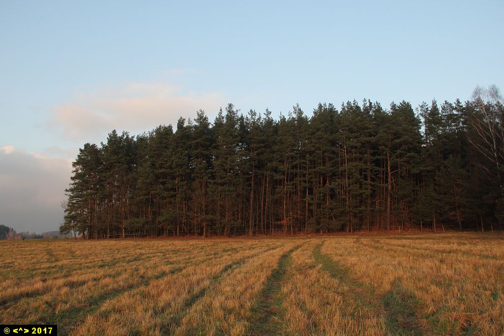 Foto nr: 933
