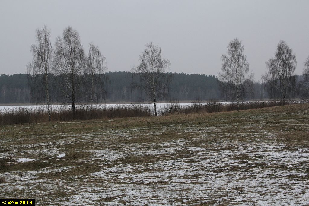 Foto nr: 937
