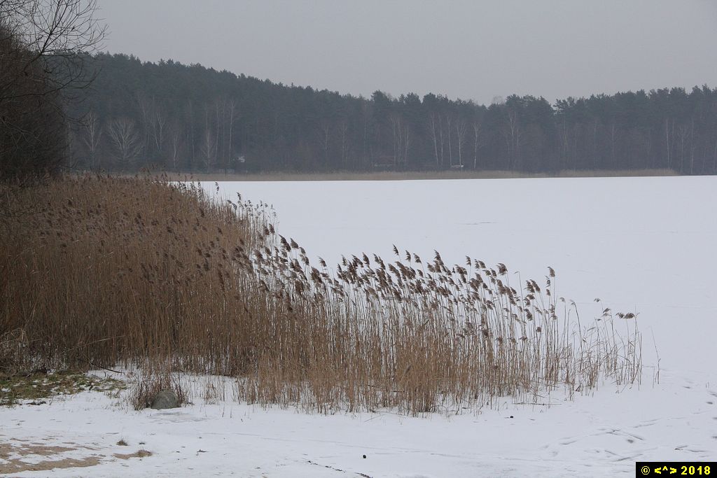 Foto nr: 938