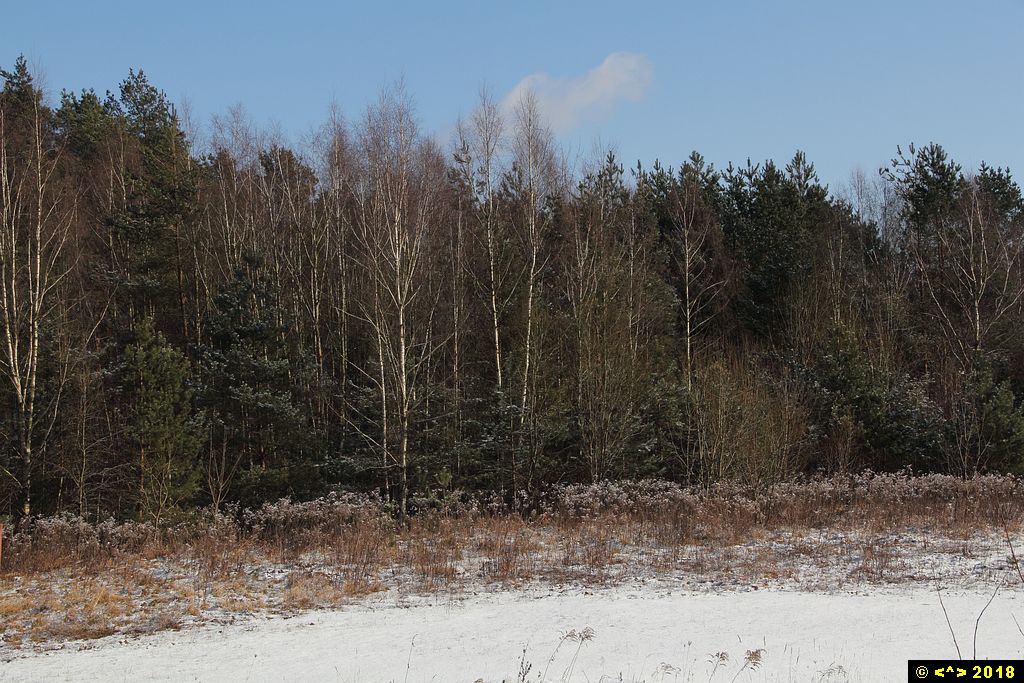 Foto nr: 943