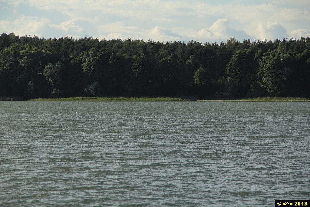 Foto nr: 993