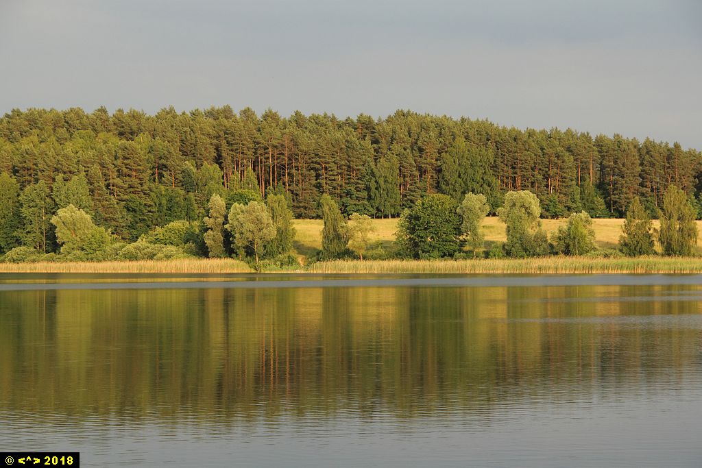 Foto nr: 998