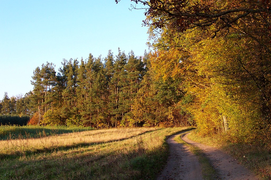 Foto nr: 164