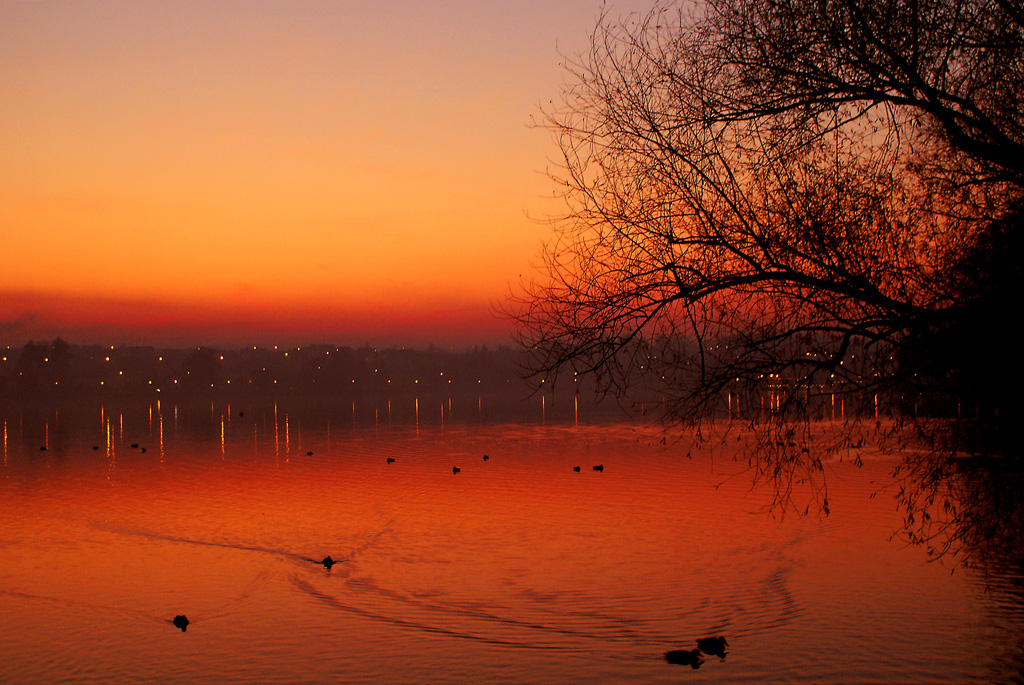 Foto nr: 168