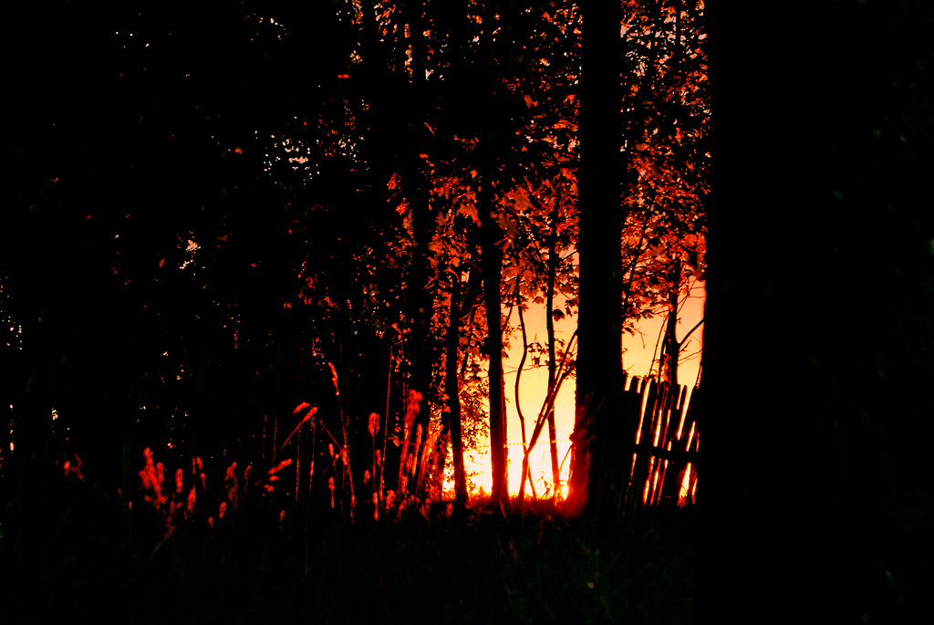 Foto nr: 171