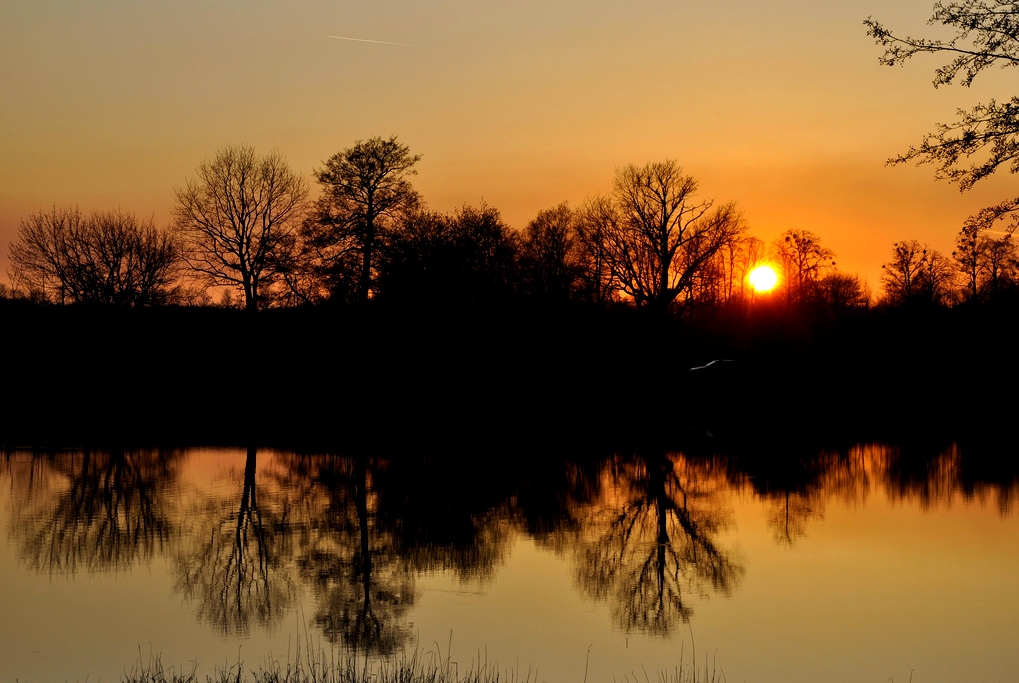 Foto nr: 223