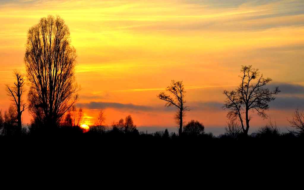 Foto nr: 227