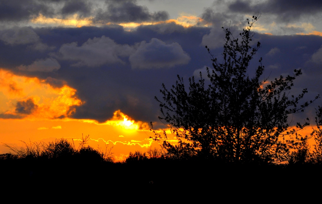 Foto nr: 231