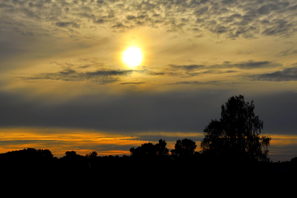 Foto nr: 271