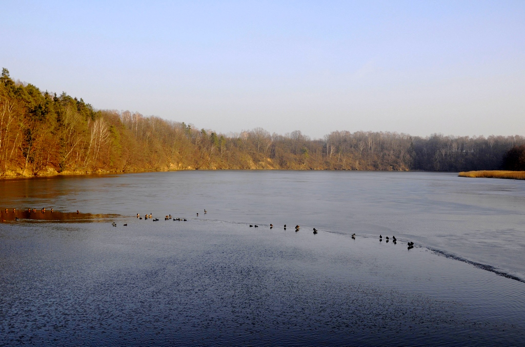 Foto nr: 609